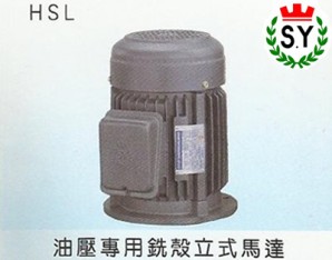 群策電機_油壓專用銑殼立式馬達HSL