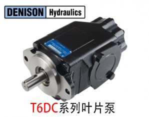 丹尼遜雙聯葉片泵T6DC系列