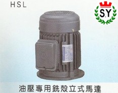 群策電機_油壓專用銑殼立式馬達HSL