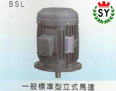 群策電機(jī)_一般標(biāo)準(zhǔn)型立式馬達(dá)BSL