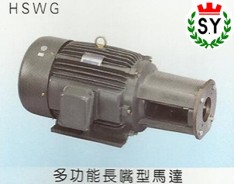 群策電機(jī)_多功能長(zhǎng)嘴型馬達(dá)HSWG