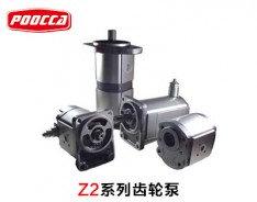 02Z系列Ronzio齒輪泵
